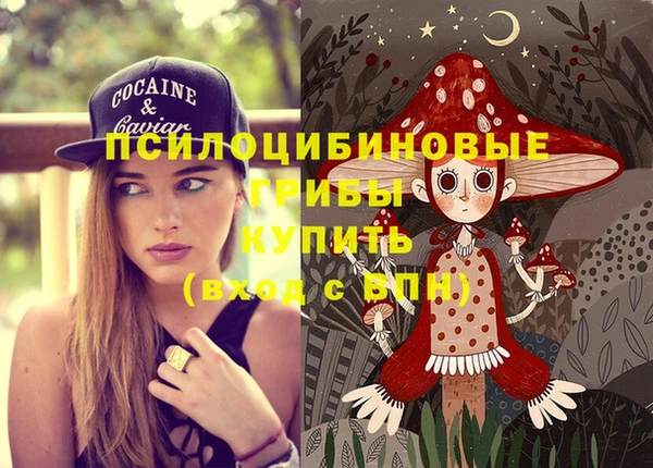 прущая мука Каменногорск