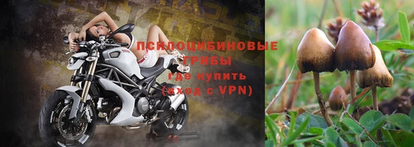 герыч Алзамай