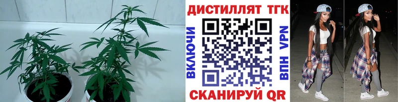 Дистиллят ТГК концентрат  нарко площадка состав  Анадырь 