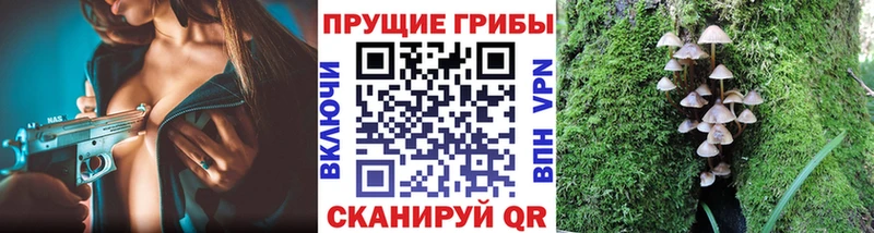 Псилоцибиновые грибы ЛСД  Анадырь 
