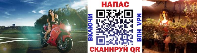 Канабис Amnesia  где купить   Анадырь 